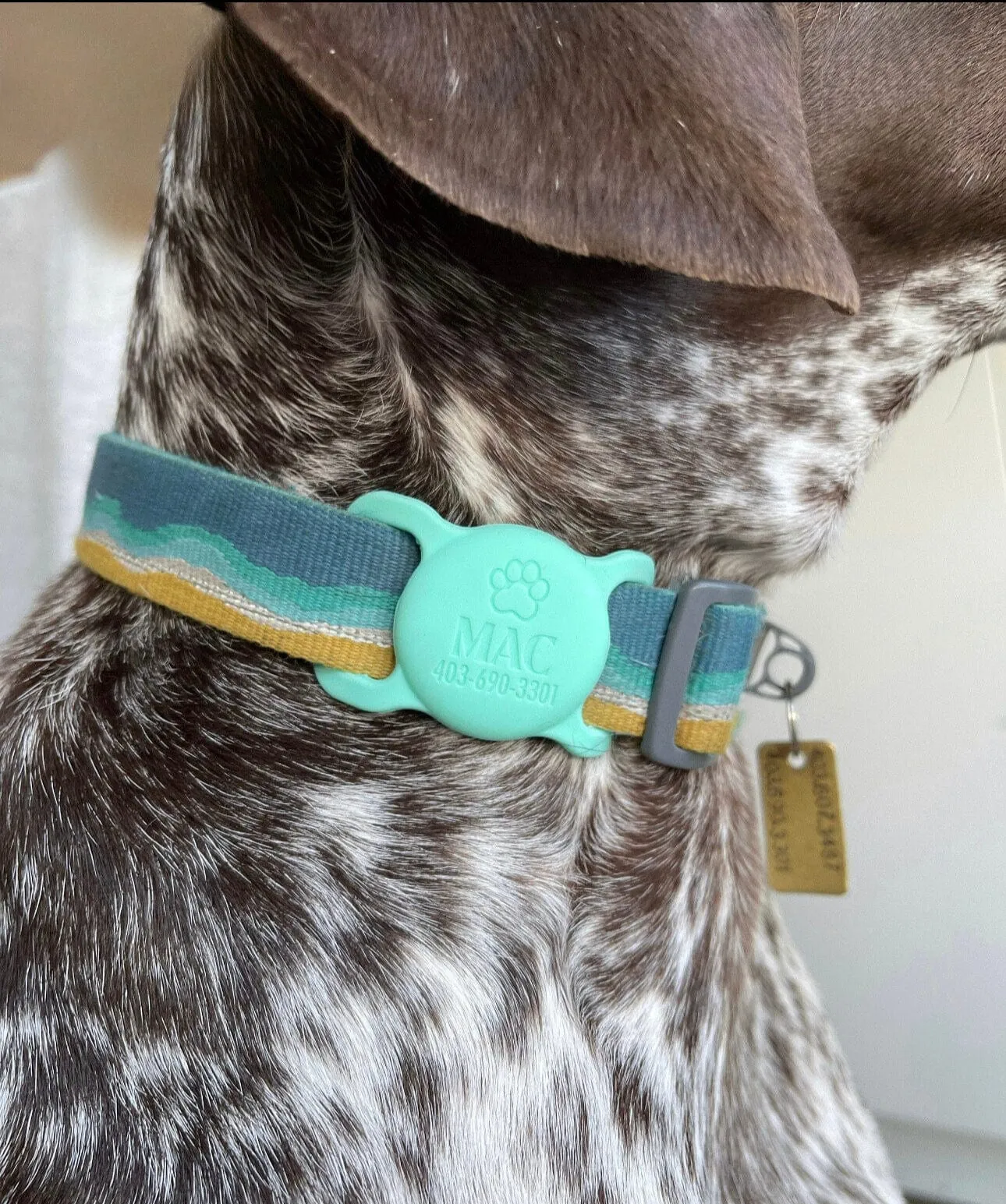 Blossom AirTag Holder