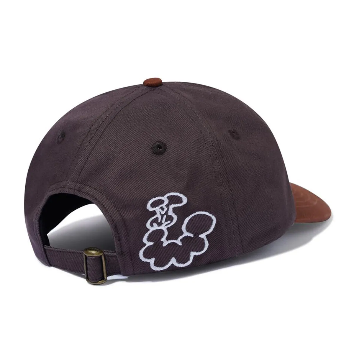 Butter Goods - Bugs 6 Panel Cap Redwood/Rust