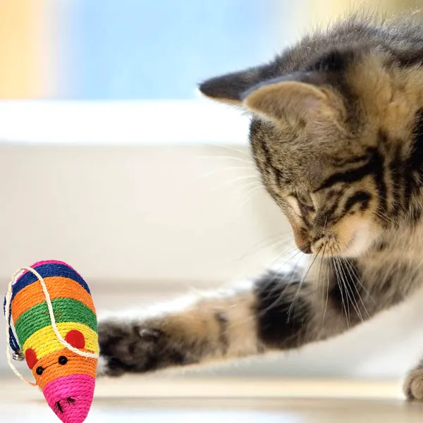 Cat's Rattle Mouse Scratcher