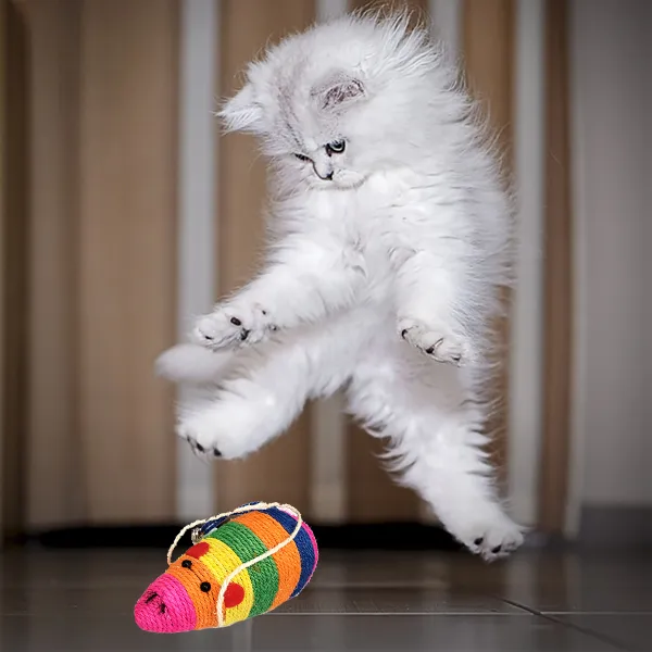 Cat's Rattle Mouse Scratcher