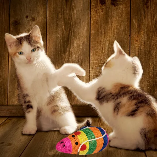 Cat's Rattle Mouse Scratcher