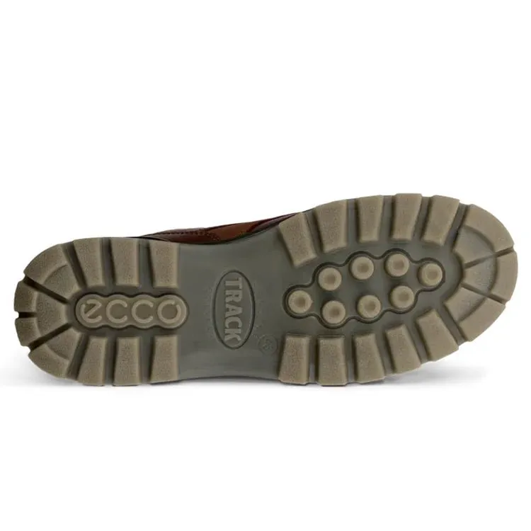 Ecco Men's Track 25 Moc GTX Shoe - Bison/Bison