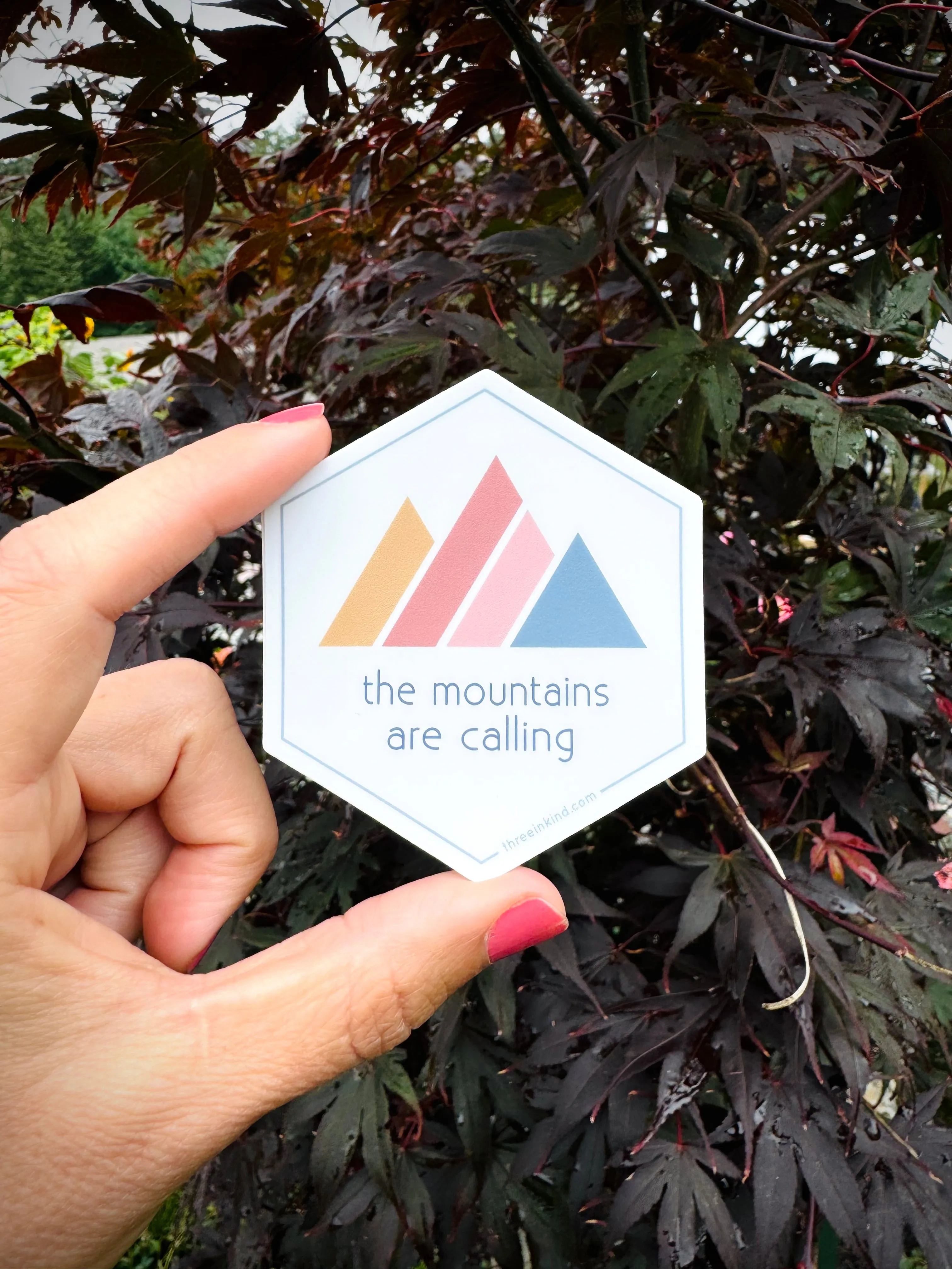 Hexagon “The Mountains Are Calling” Color Block Mountains 3” Sticker / Decal
