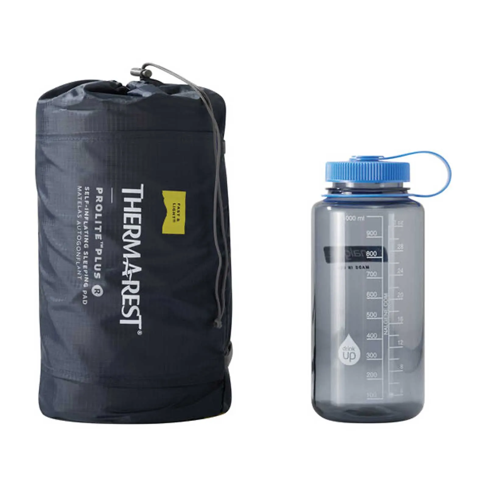 ProLite Plus R