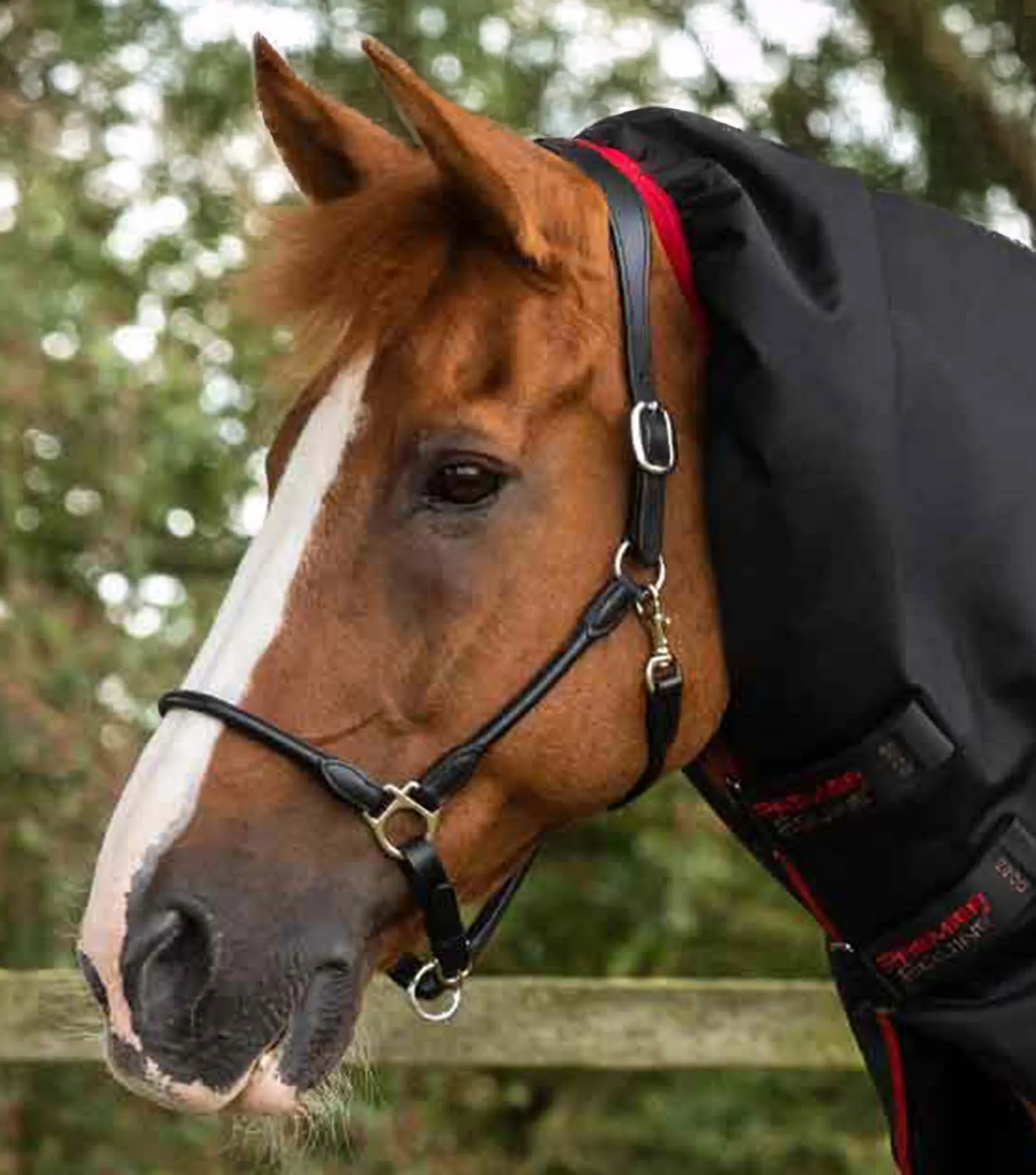 Titan 450g Turnout Rug with Snug-Fit Neck Cover Black